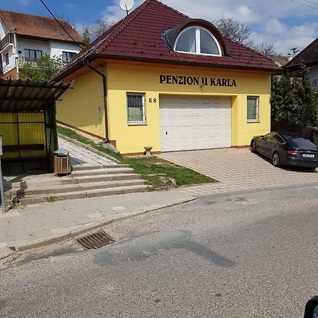 Penzion U Karla Němčičky Buitenkant foto